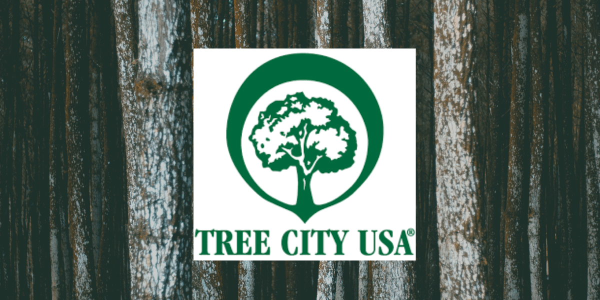 Local Cities Get “tree City Usa” Designation 