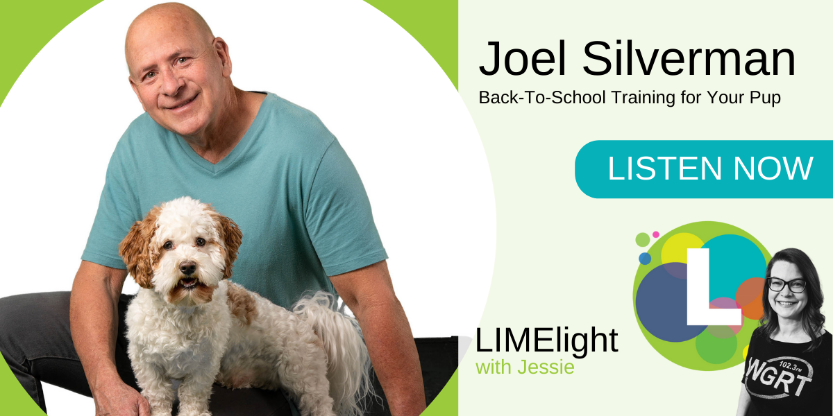 Joel Silverman Back to School Training for your pup