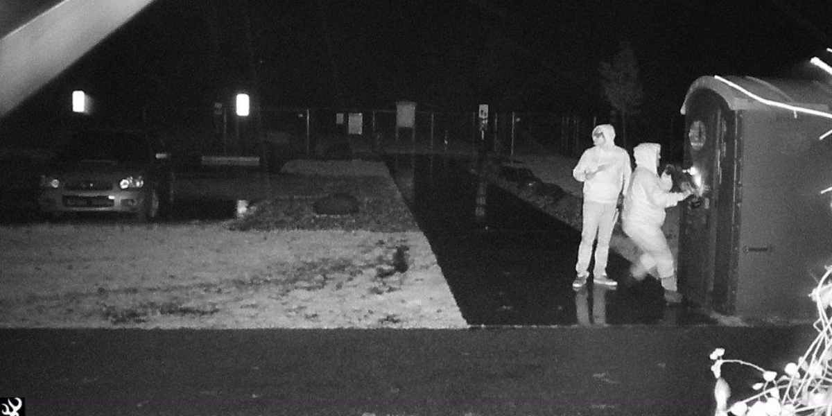 Suspects in Fort Gratiot Crime