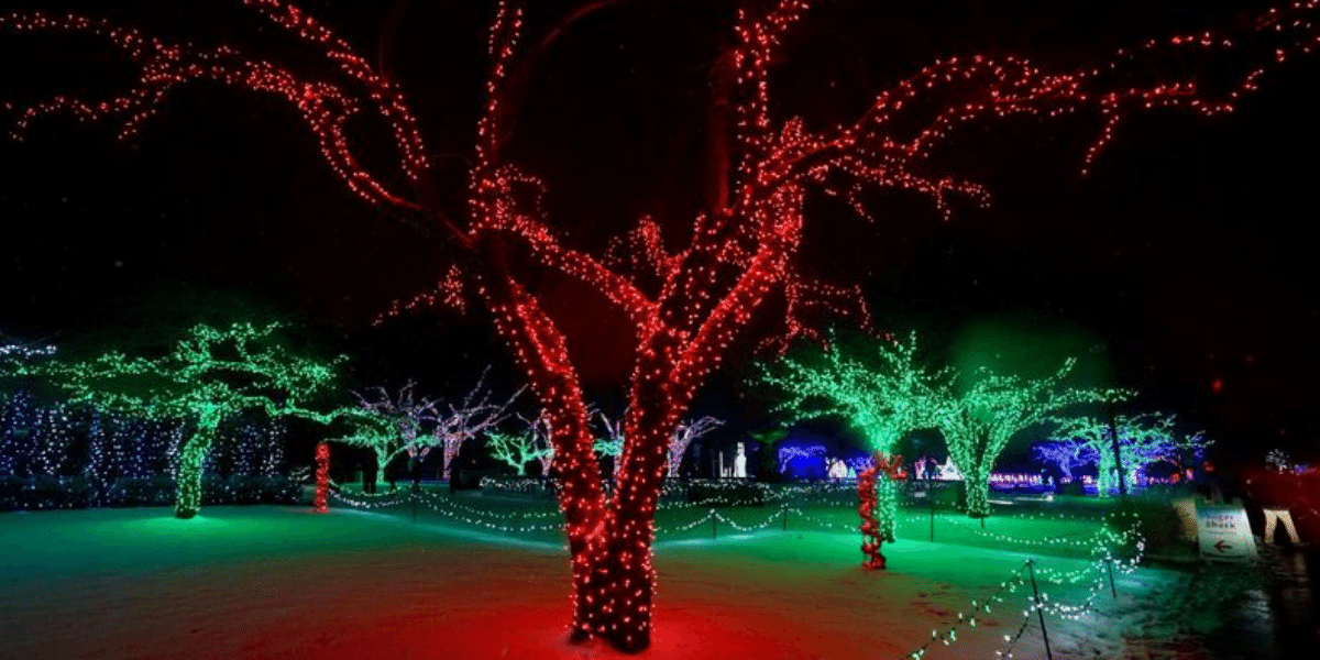 Detroit Zoo’s Wild Lights Back for 9th Year WGRT