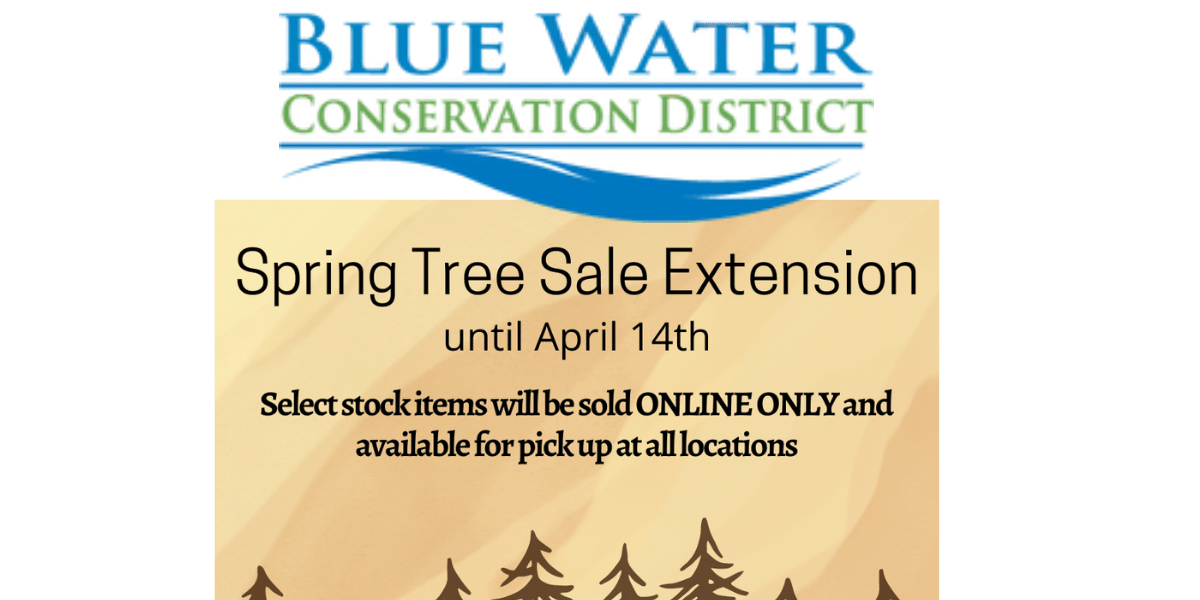 Conservation District Tree Sale Provides LowCost Growing Options WGRT