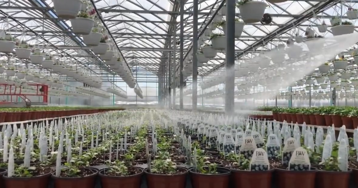 Michigan Farm Bureau Urges Action to Declare Plant Sales Essential | WGRT